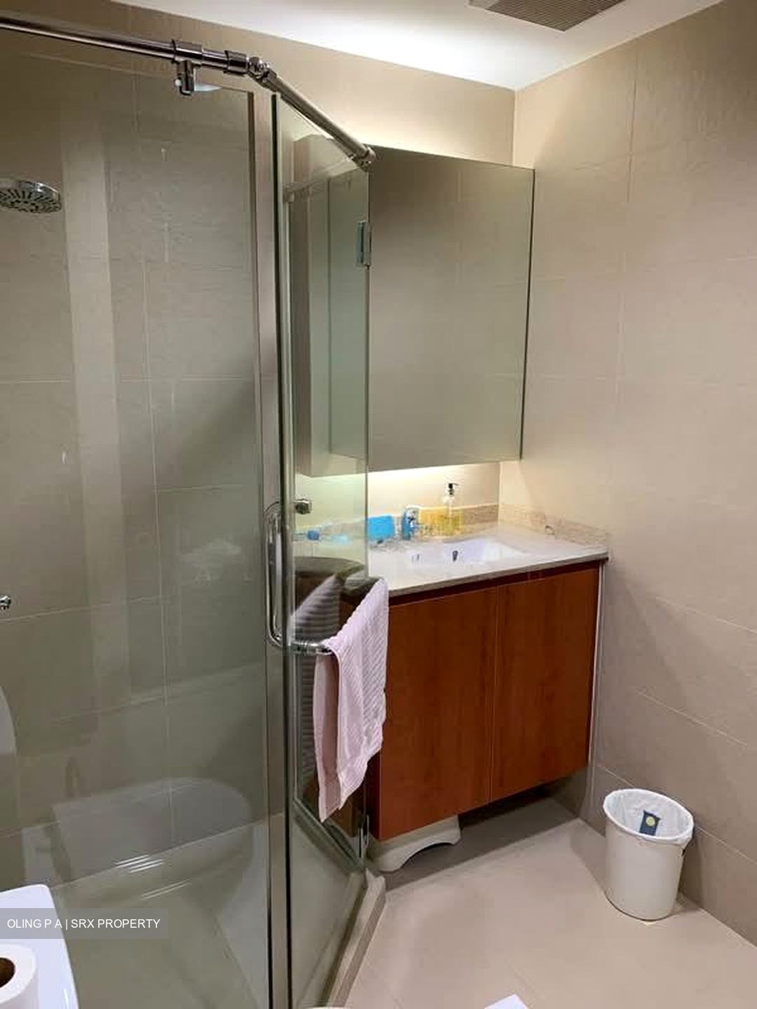 Cairnhill Plaza (D9), Apartment #584423821